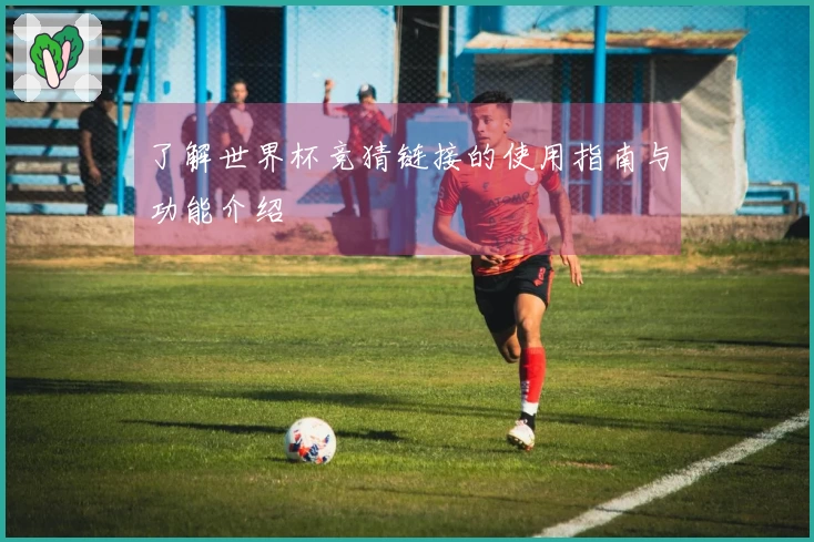 了解世界杯竞猜链接的使用指南与功能介绍