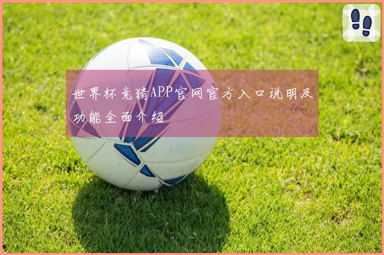 世界杯竞猜APP官网官方入口说明及功能全面介绍