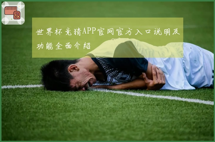 世界杯竞猜APP官网官方入口说明及功能全面介绍