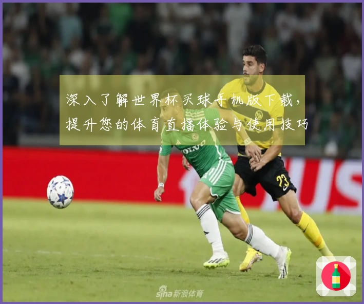 深入了解世界杯买球手机版下载，提升您的体育直播体验与使用技巧