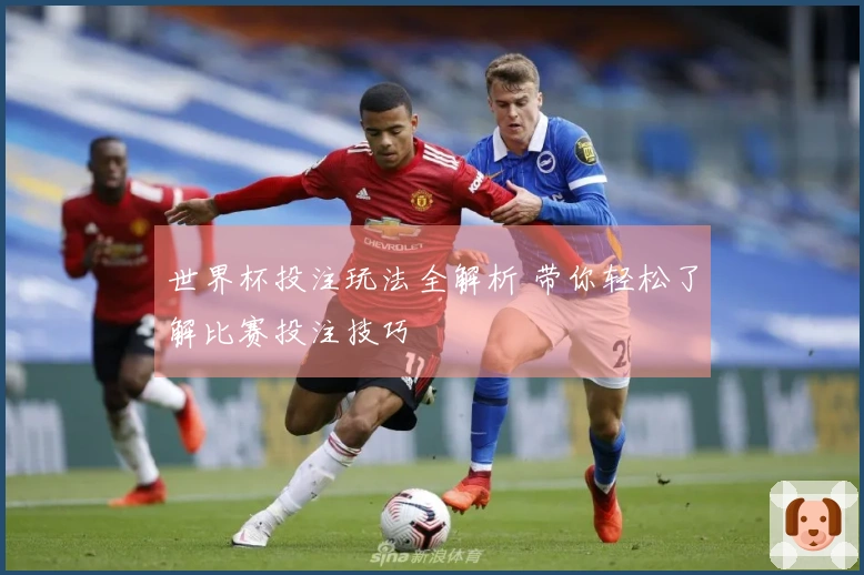世界杯投注玩法全解析 带你轻松了解比赛投注技巧