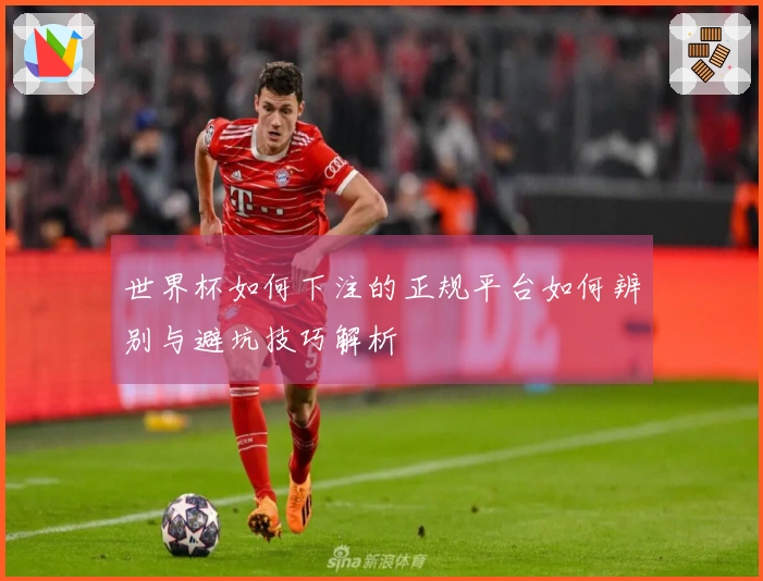世界杯如何下注的正规平台如何辨别与避坑技巧解析