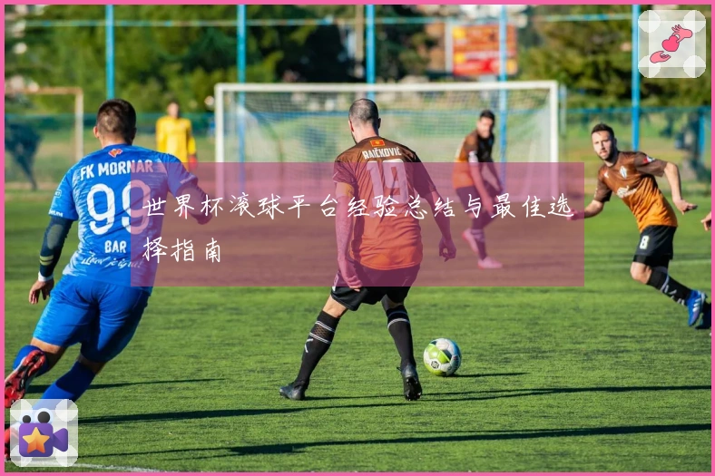 世界杯滚球平台经验总结与最佳选择指南