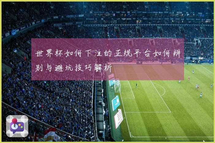 世界杯如何下注的正规平台如何辨别与避坑技巧解析