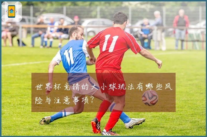 世界杯竞猜的大小球玩法有哪些风险与注意事项？