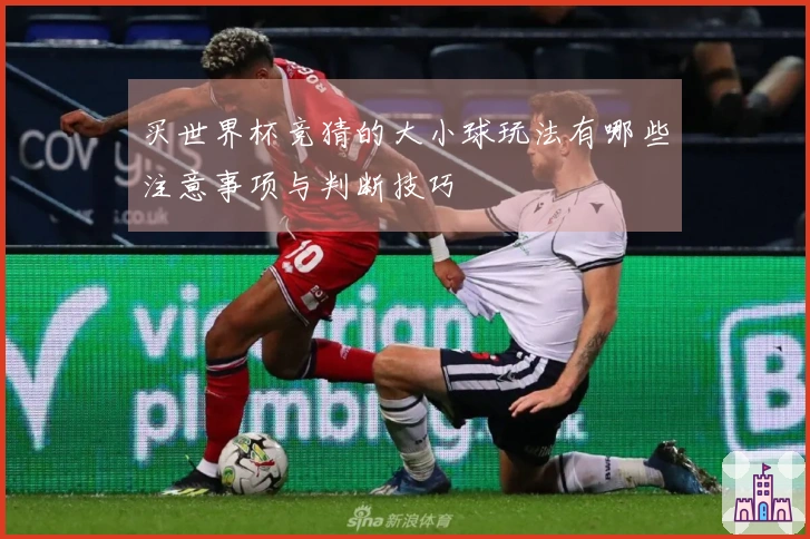 买世界杯竞猜的大小球玩法有哪些注意事项与判断技巧