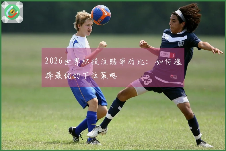 2026世界杯投注赔率对比：如何选择最优的下注策略